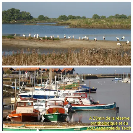 Maison Au Coeur Du Bassin D'arcachon Holiday home *