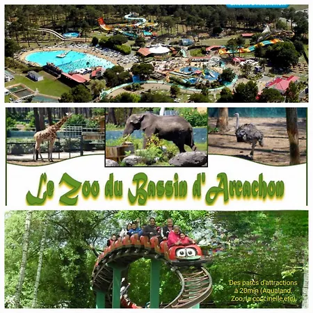 Maison Au Coeur Du Bassin D'arcachon ארסשון