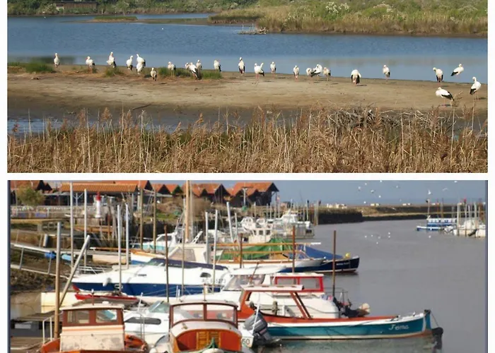 Maison Au Coeur Du Bassin D'arcachon Holiday home *
